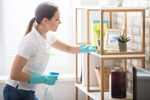 Person Cleaning Shelving Unit