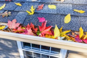 Give Your Home An Autumn Cleaning Blitz by Cleanhome Sussex